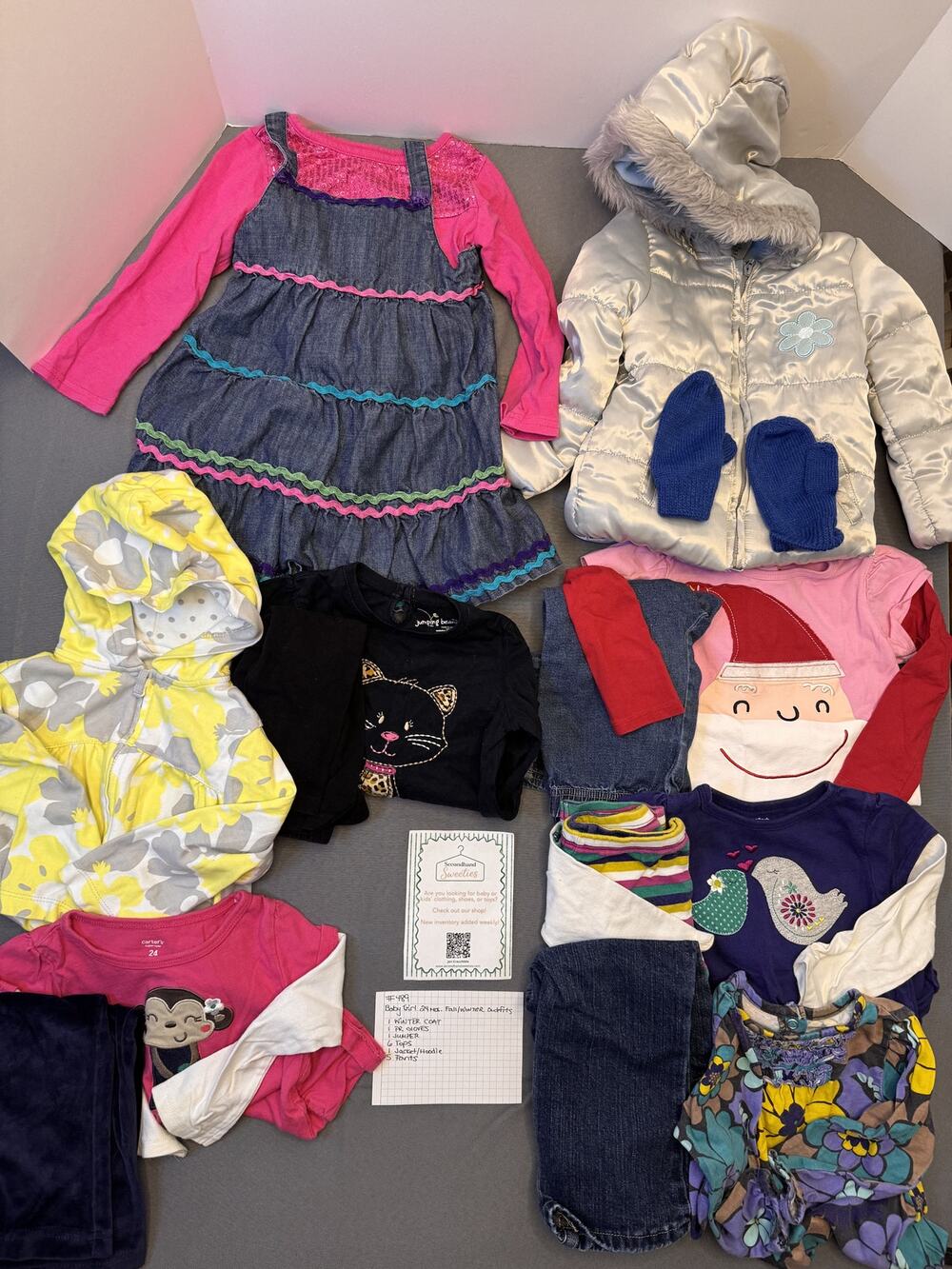 Baby Girl 24M Fall/Winter Outfit & Clothing Lot #489